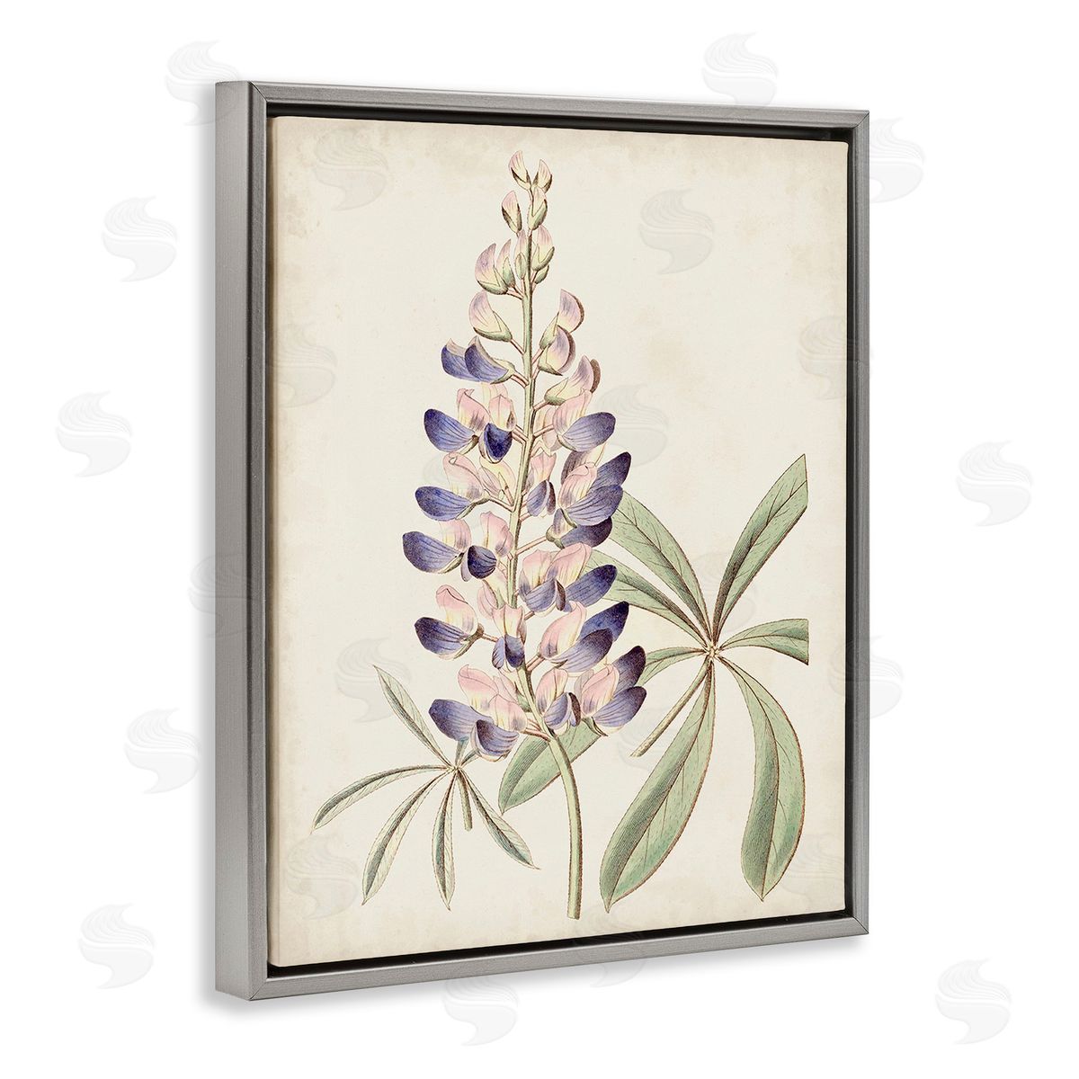 Ridgeway Vintage Lupin Plant Gray Floating Frame Canvas Wall Art Print