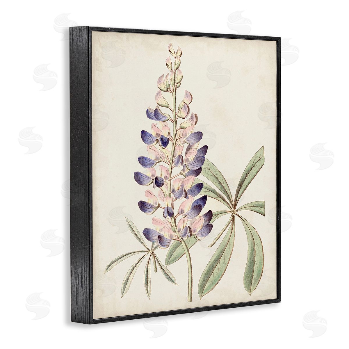 Ridgeway Vintage Lupin Plant Black Framed Giclee Wall Art Print