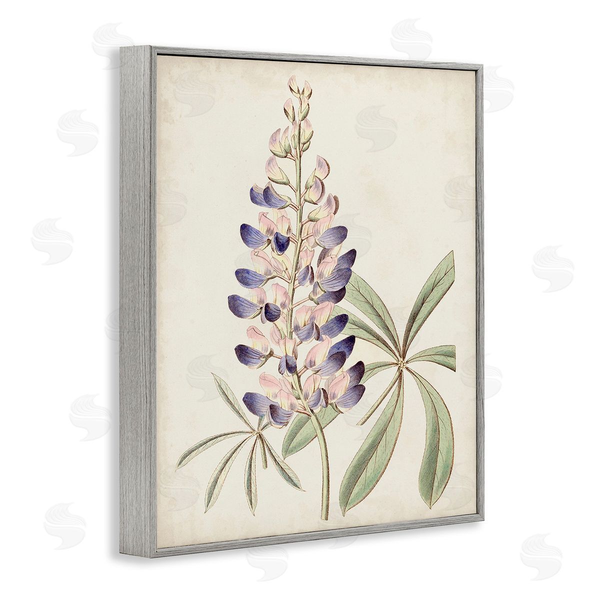 Ridgeway Vintage Lupin Plant Gray Framed Giclee Wall Art Print