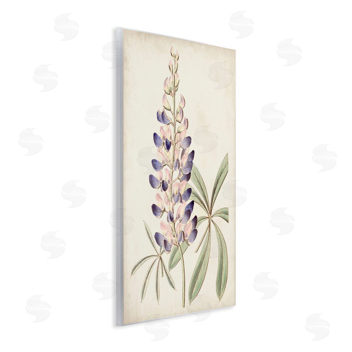 Ridgeway Vintage Lupin Plant Wooden Wall Plaque Art Print