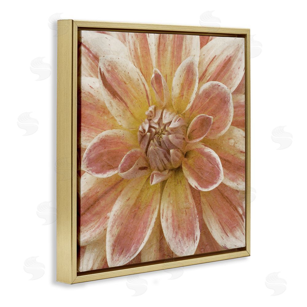 Alonzo Saunders Blooming Petals Close Up Gold Floating Frame Canvas Wall Art Print