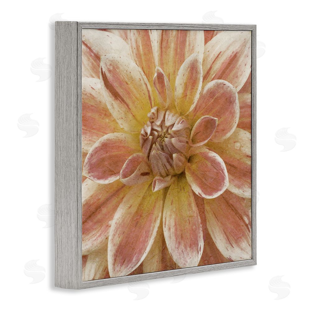 Alonzo Saunders Blooming Petals Close Up Gray Framed Glicee Wall Art Print