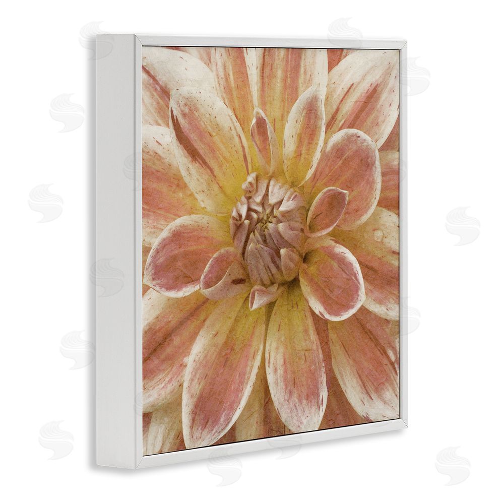 Alonzo Saunders Blooming Petals Close Up White Framed Glicee Wall Art Print