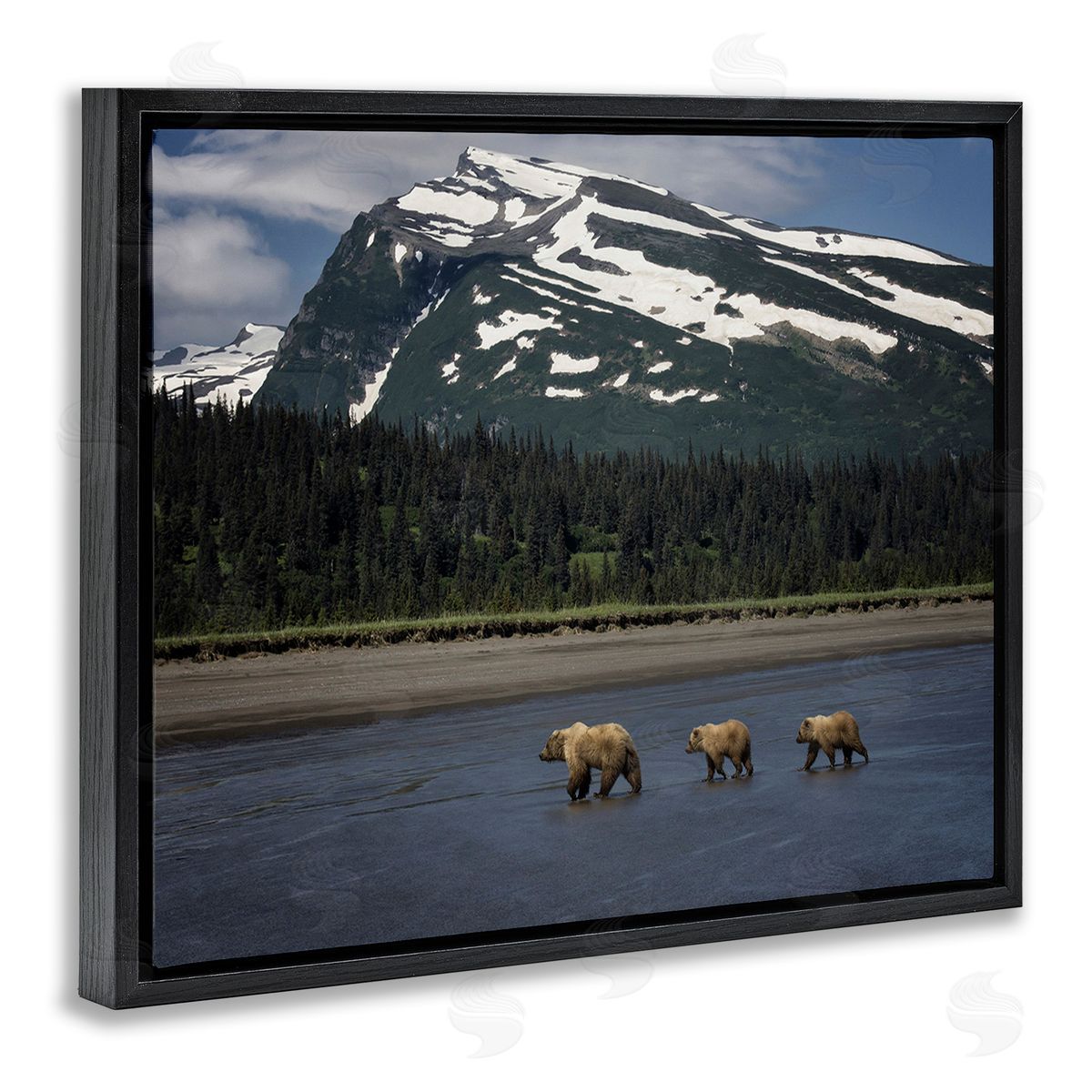 PH Burchett Bears Crossing Icy River Black Floating Frame Canvas Wall Art Print