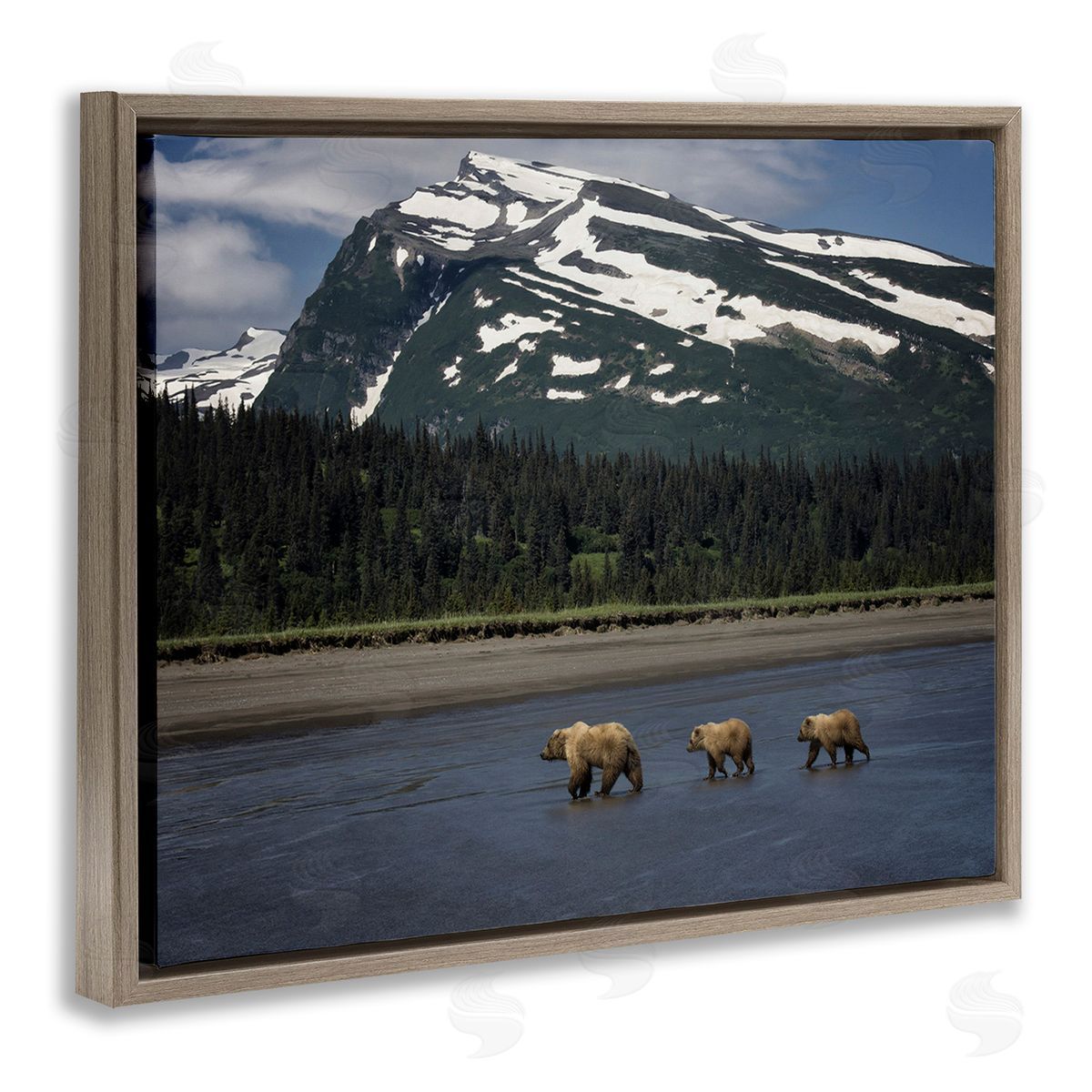 PH Burchett Bears Crossing Icy River Brown Floating Frame Canvas Wall Art Print