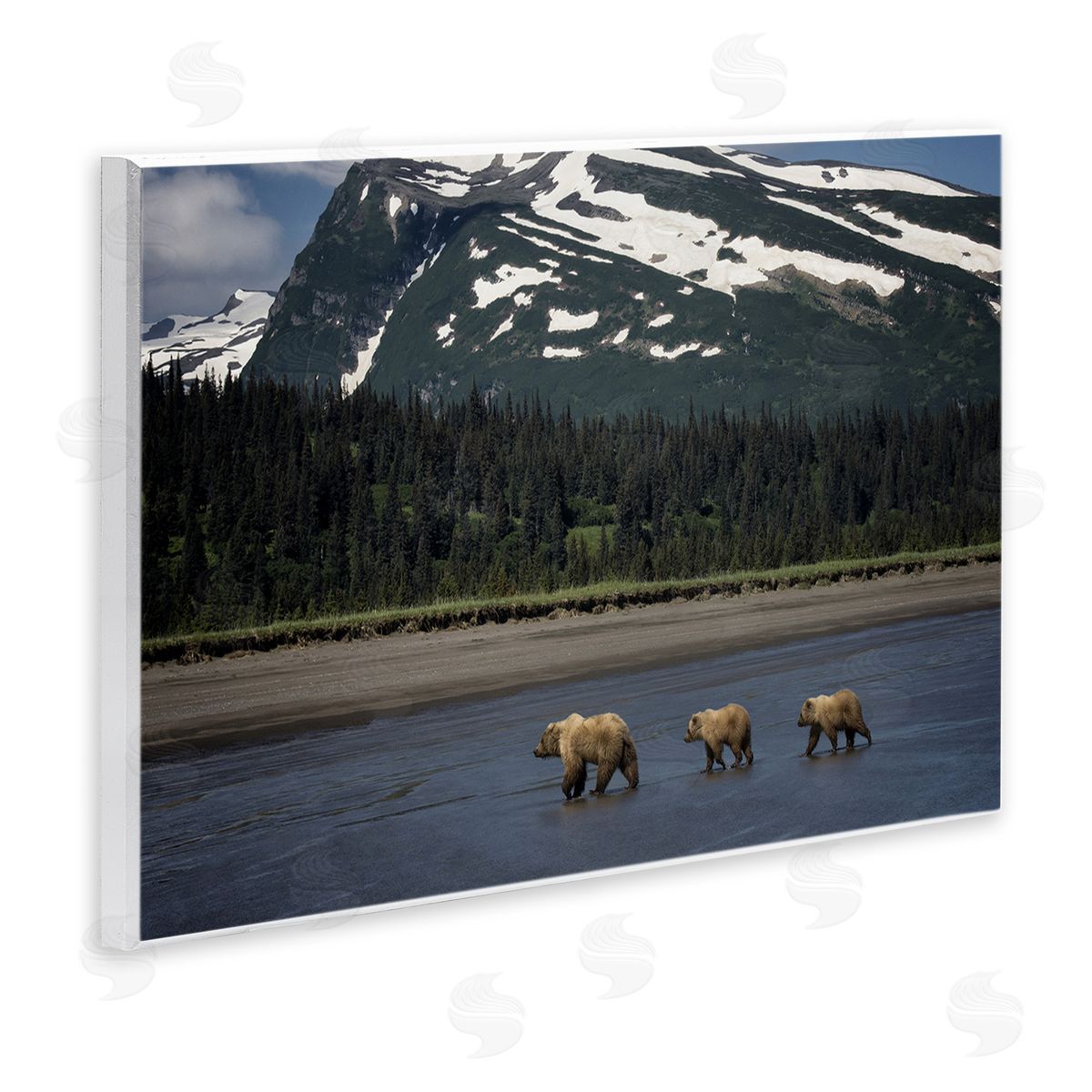 PH Burchett Bears Crossing Icy River Wooden Wall Plaque Art Print