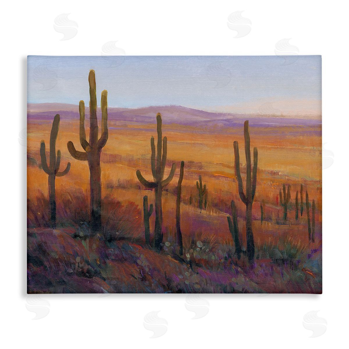 Tim O'Toole Desert Cactus Plants Canvas Wall Art Print