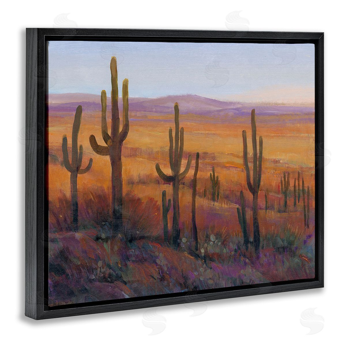 Tim O'Toole Desert Cactus Plants Black Floating Frame Canvas Wall Art Print