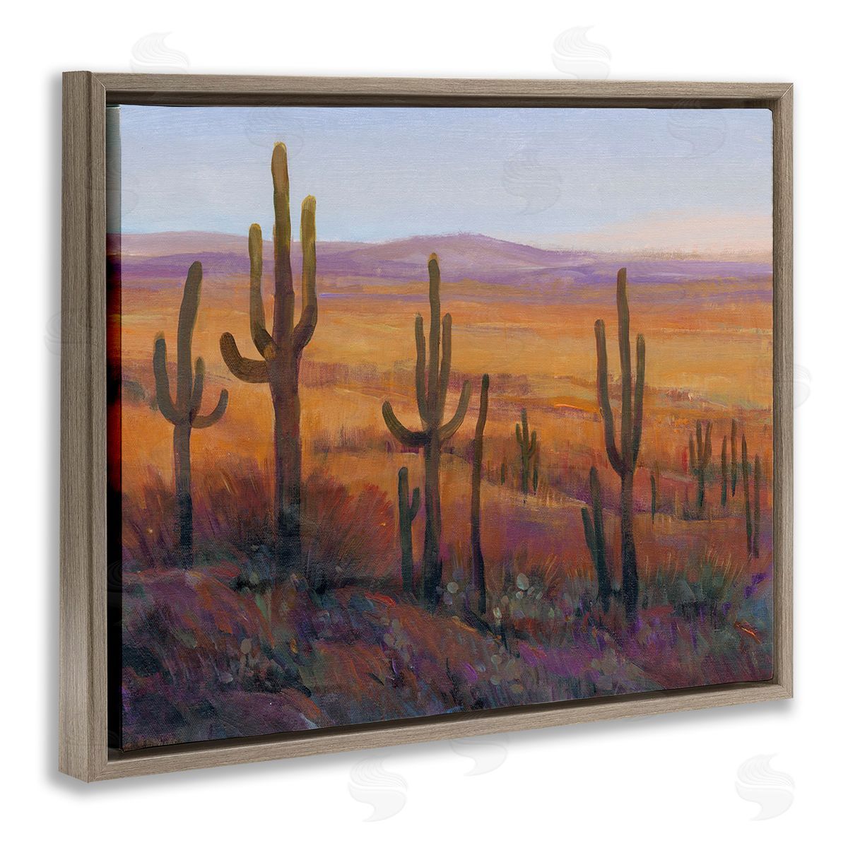 Tim O'Toole Desert Cactus Plants Brown Floating Frame Canvas Wall Art Print
