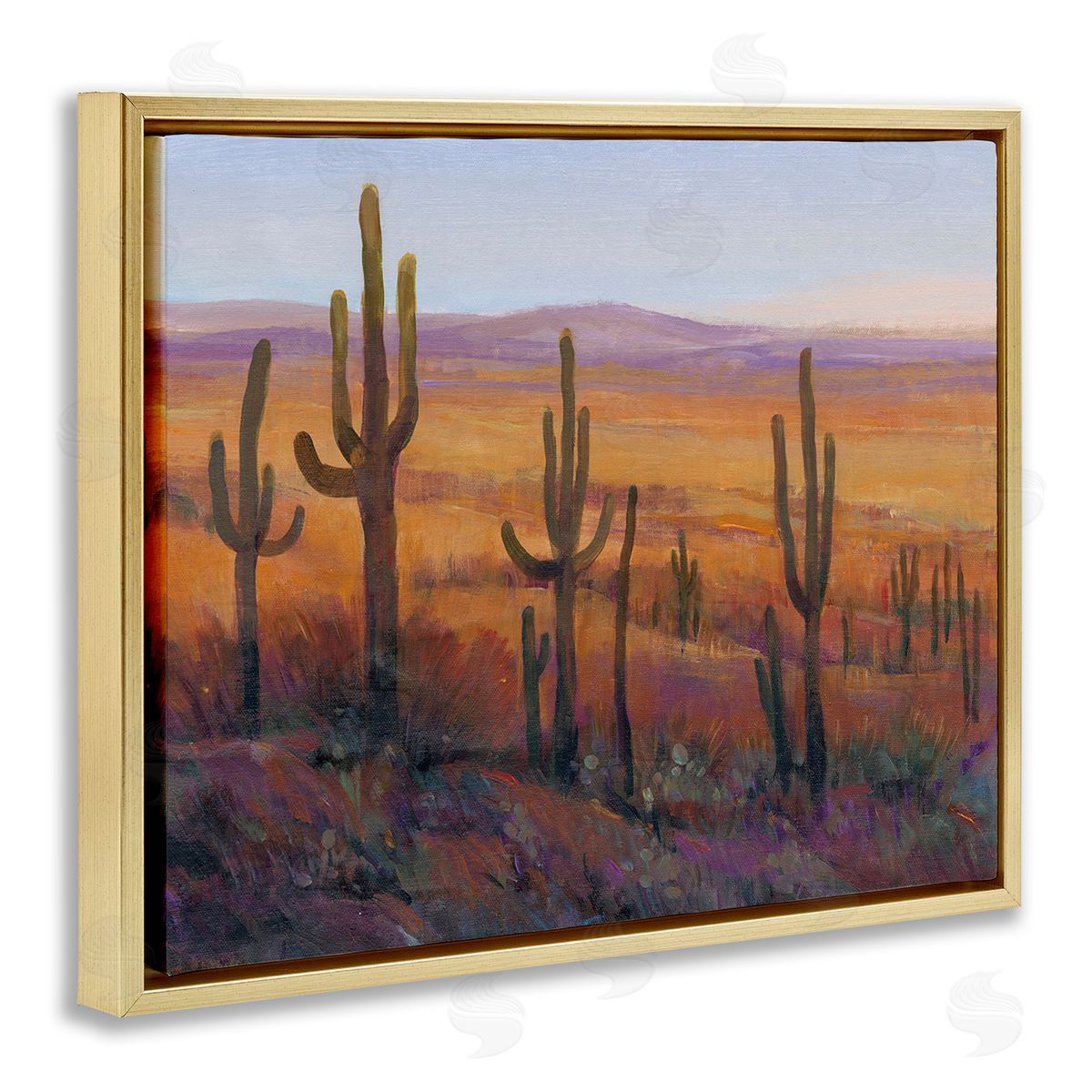 Tim O'Toole Desert Cactus Plants Gold Floating Frame Canvas Wall Art Print