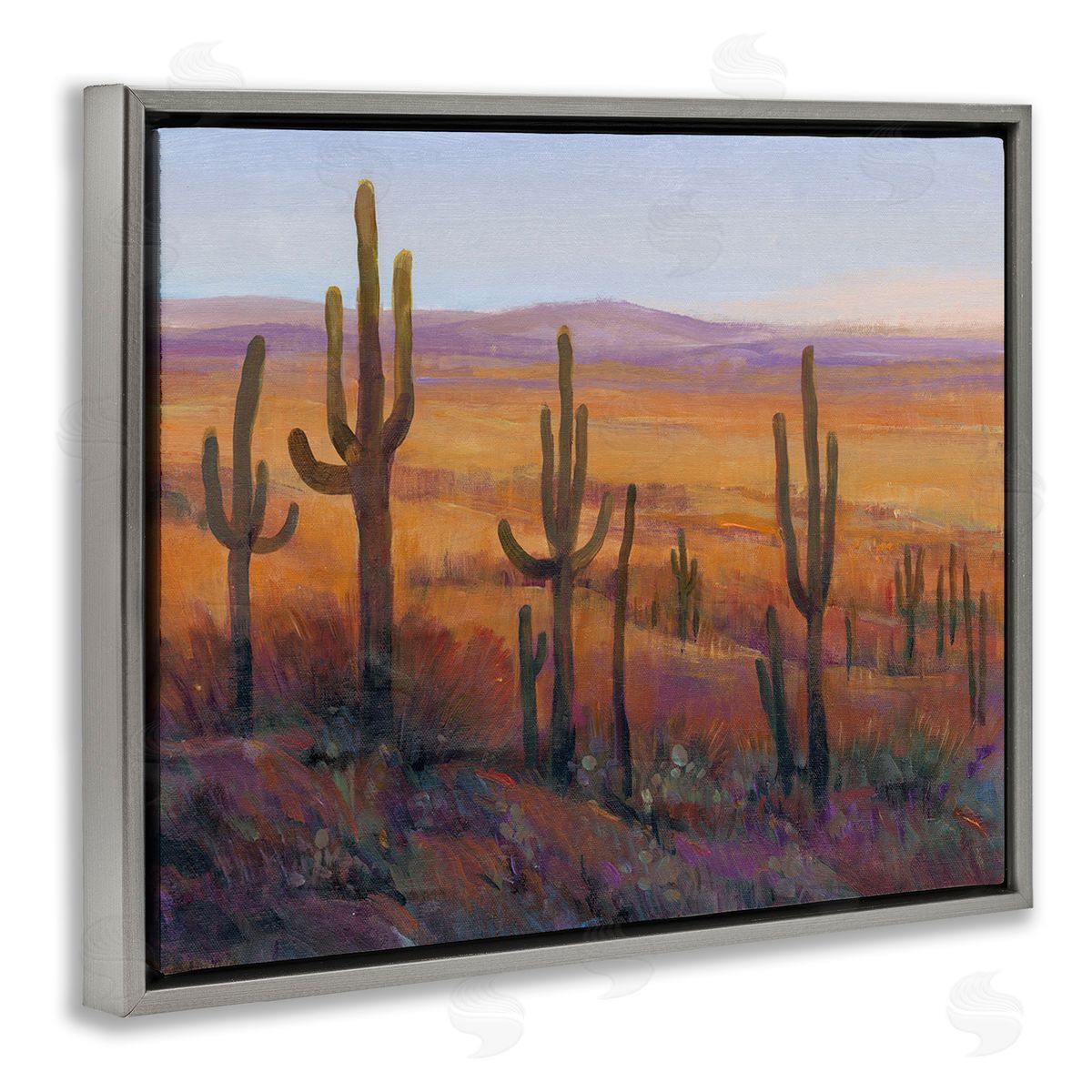 Tim O'Toole Desert Cactus Plants Gray Floating Frame Canvas Wall Art Print