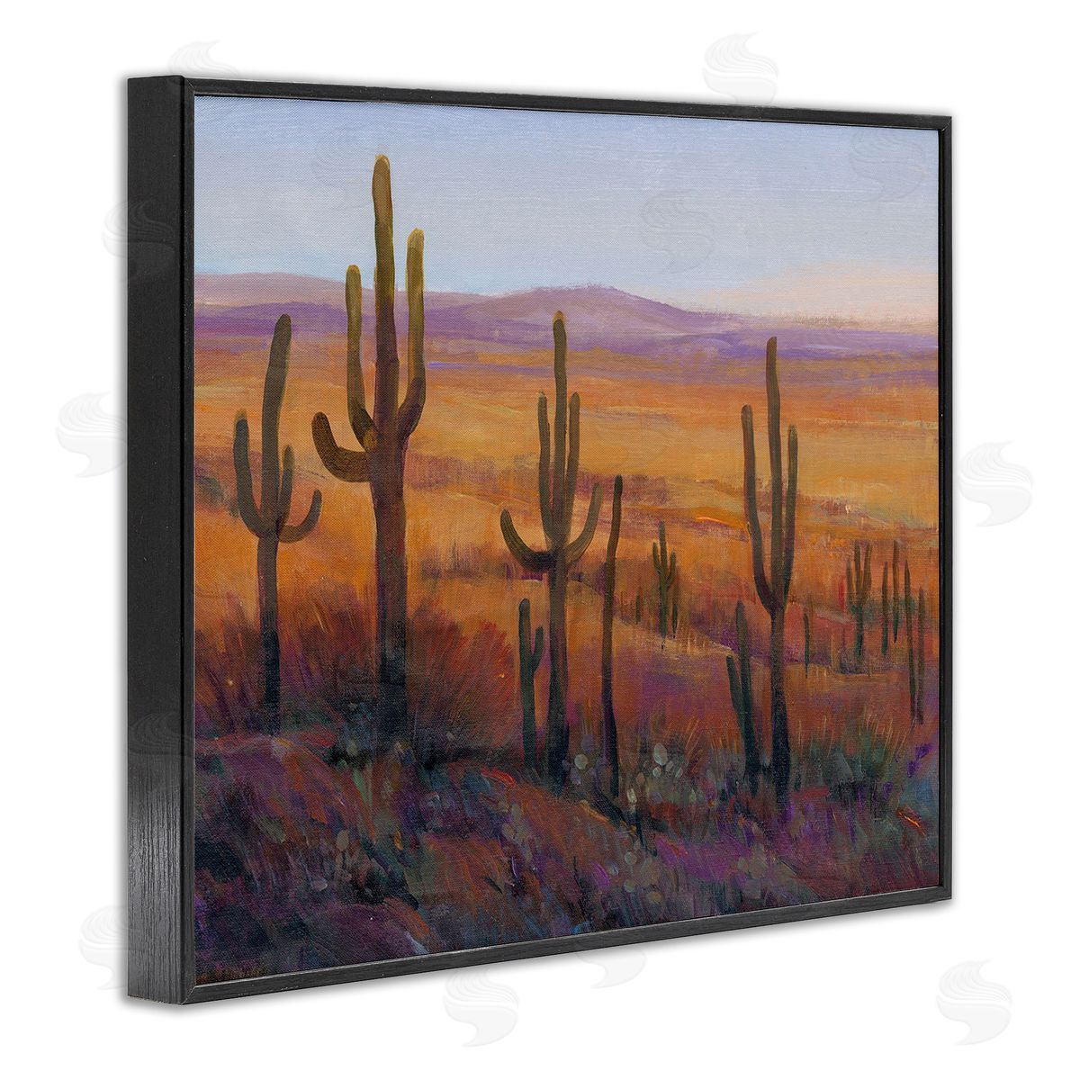 Tim O'Toole Desert Cactus Plants Black Framed Giclee Wall Art Print