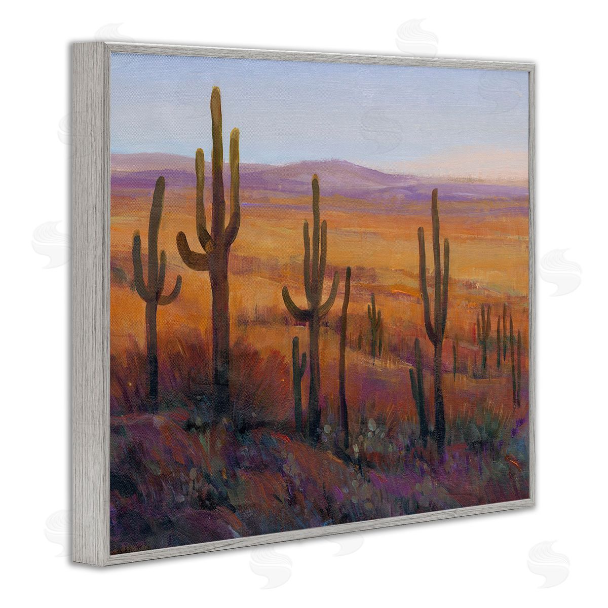 Tim O'Toole Desert Cactus Plants Gray Framed Giclee Wall Art Print