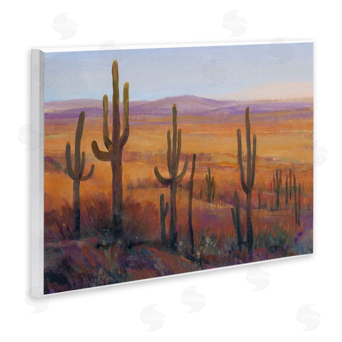 Tim O'Toole Desert Cactus Plants Wooden Wall Plaque Art Print