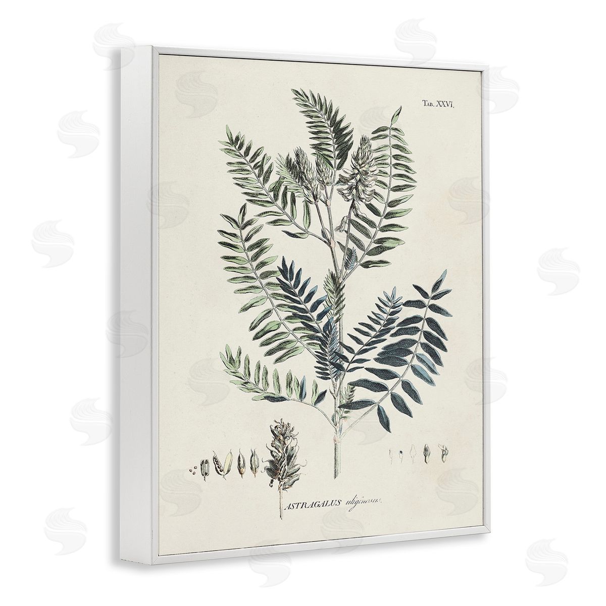 Martini Vintage Leaf Diagram White Framed Giclee Wall Art Print