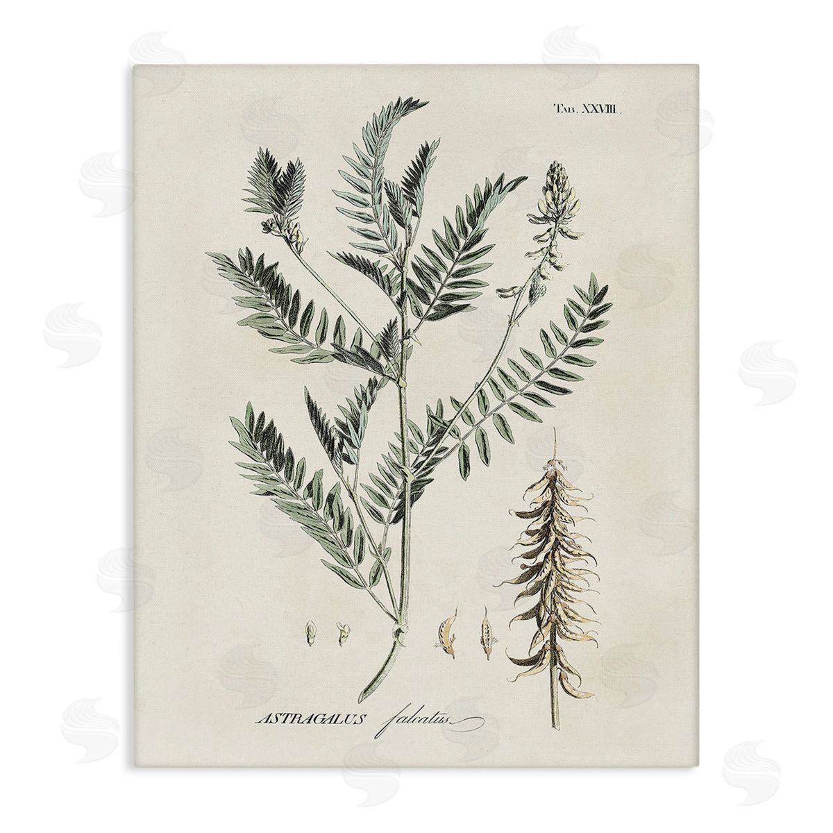 Martini Woodland Leaf Study Canvas Wall Art Print
