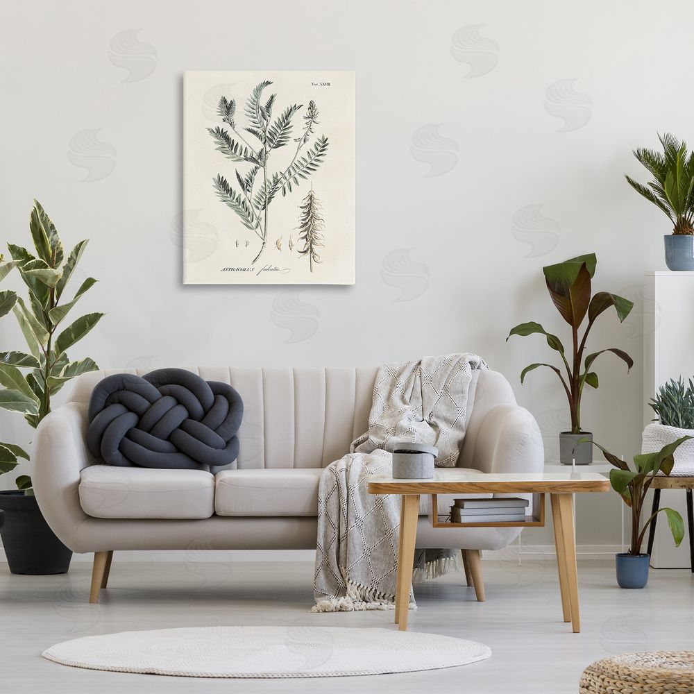 Martini Woodland Leaf Study Canvas Wall Art Print in Room