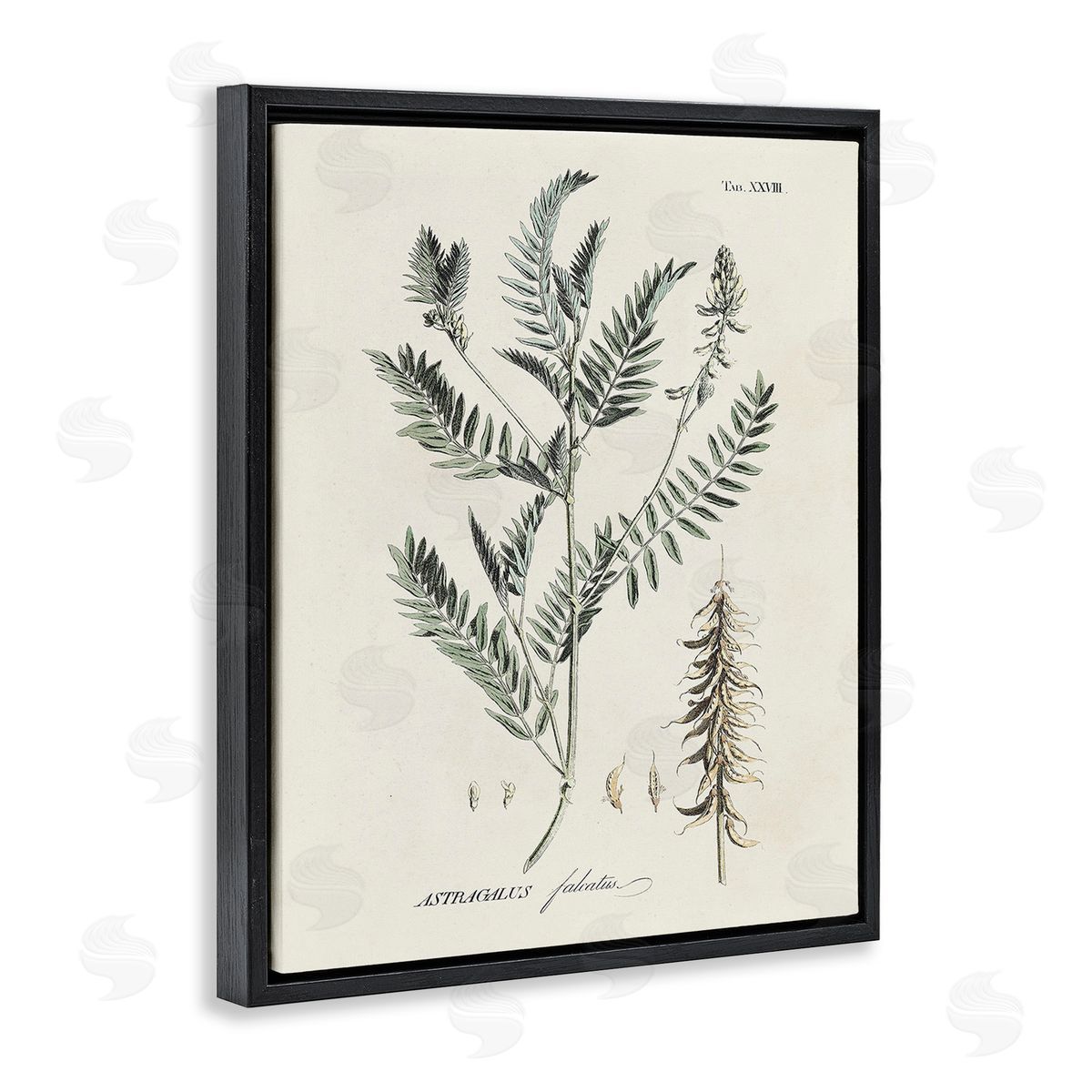 Martini Woodland Leaf Study Black Floating Frame Canvas Wall Art Print