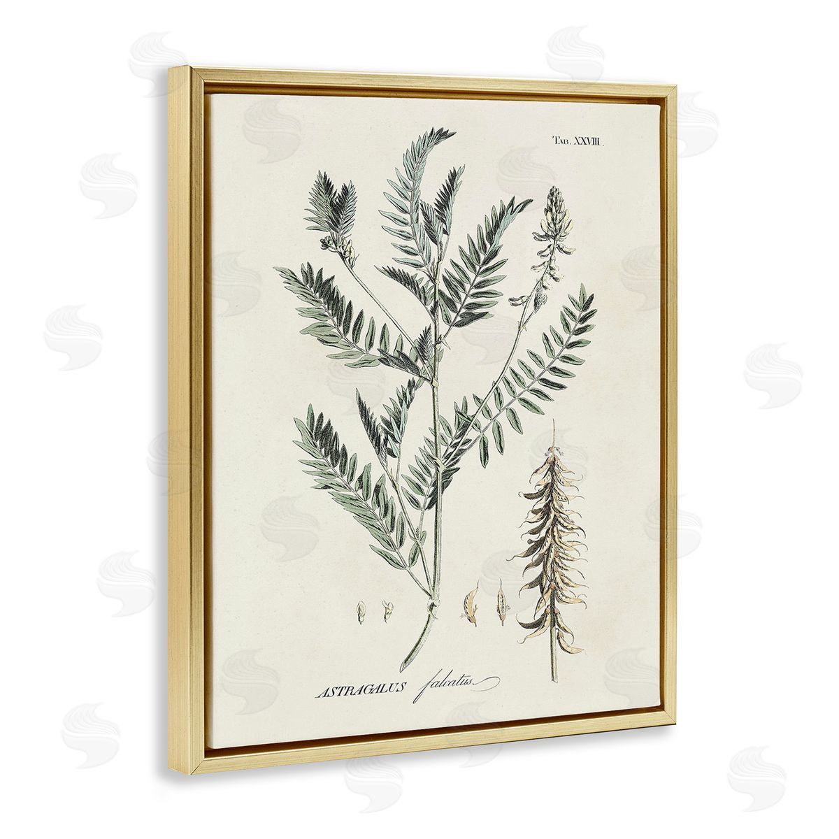Martini Woodland Leaf Study Gold Floating Frame Canvas Wall Art Print