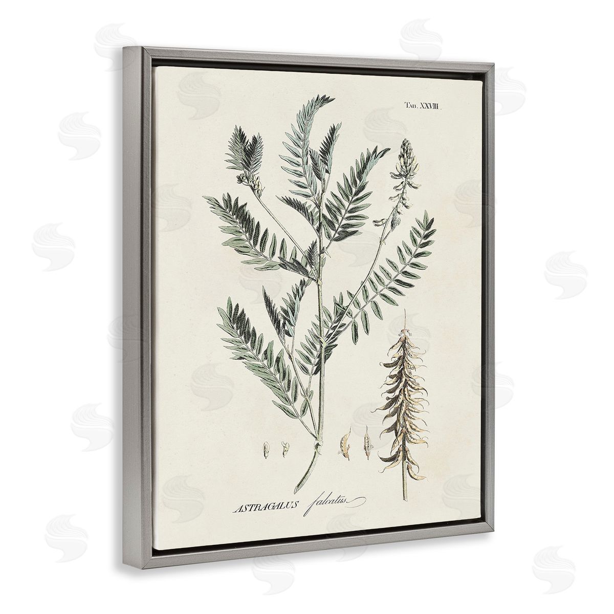 Martini Woodland Leaf Study Gray Floating Frame Canvas Wall Art Print
