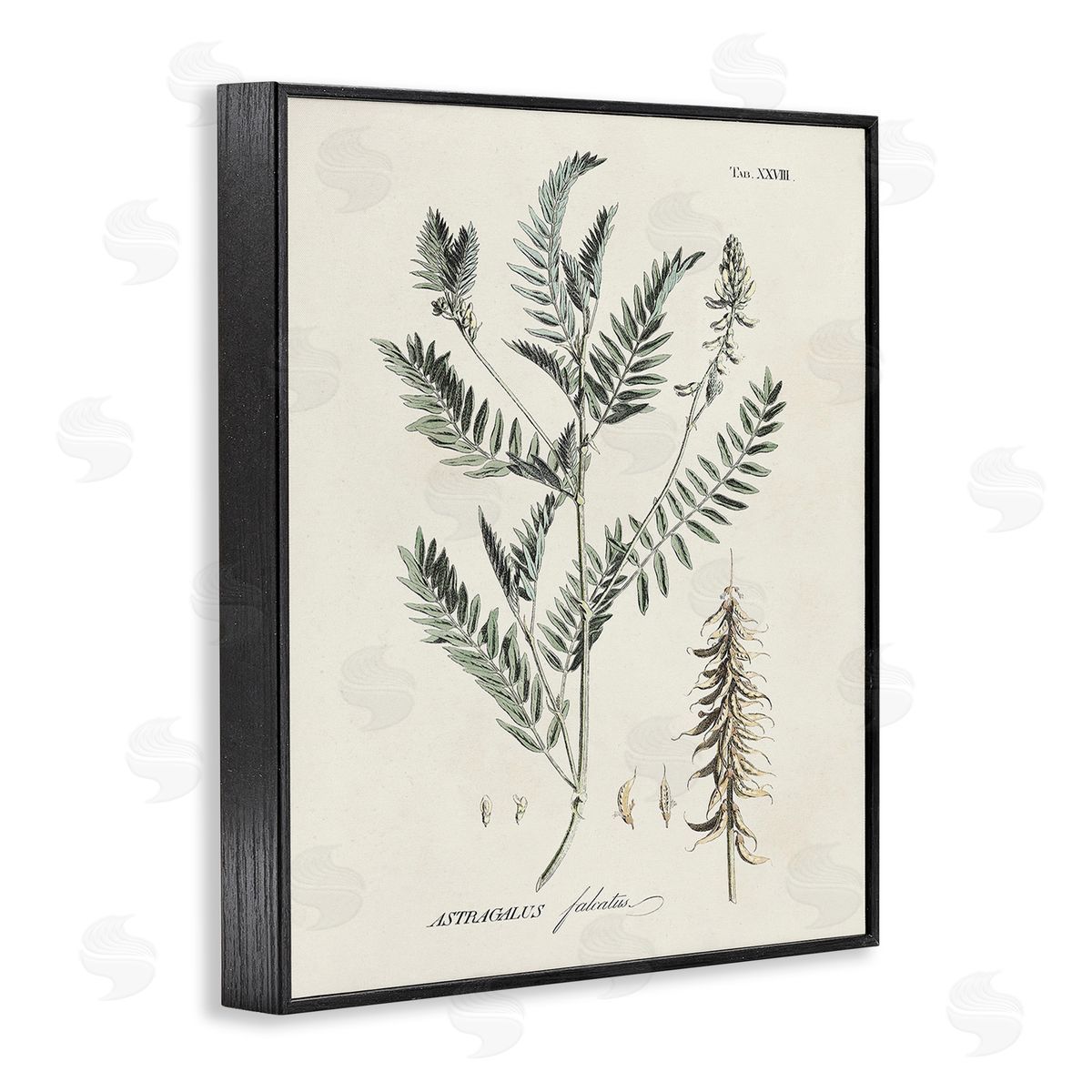 Martini Woodland Leaf Study Black Framed Giclee Wall Art Print