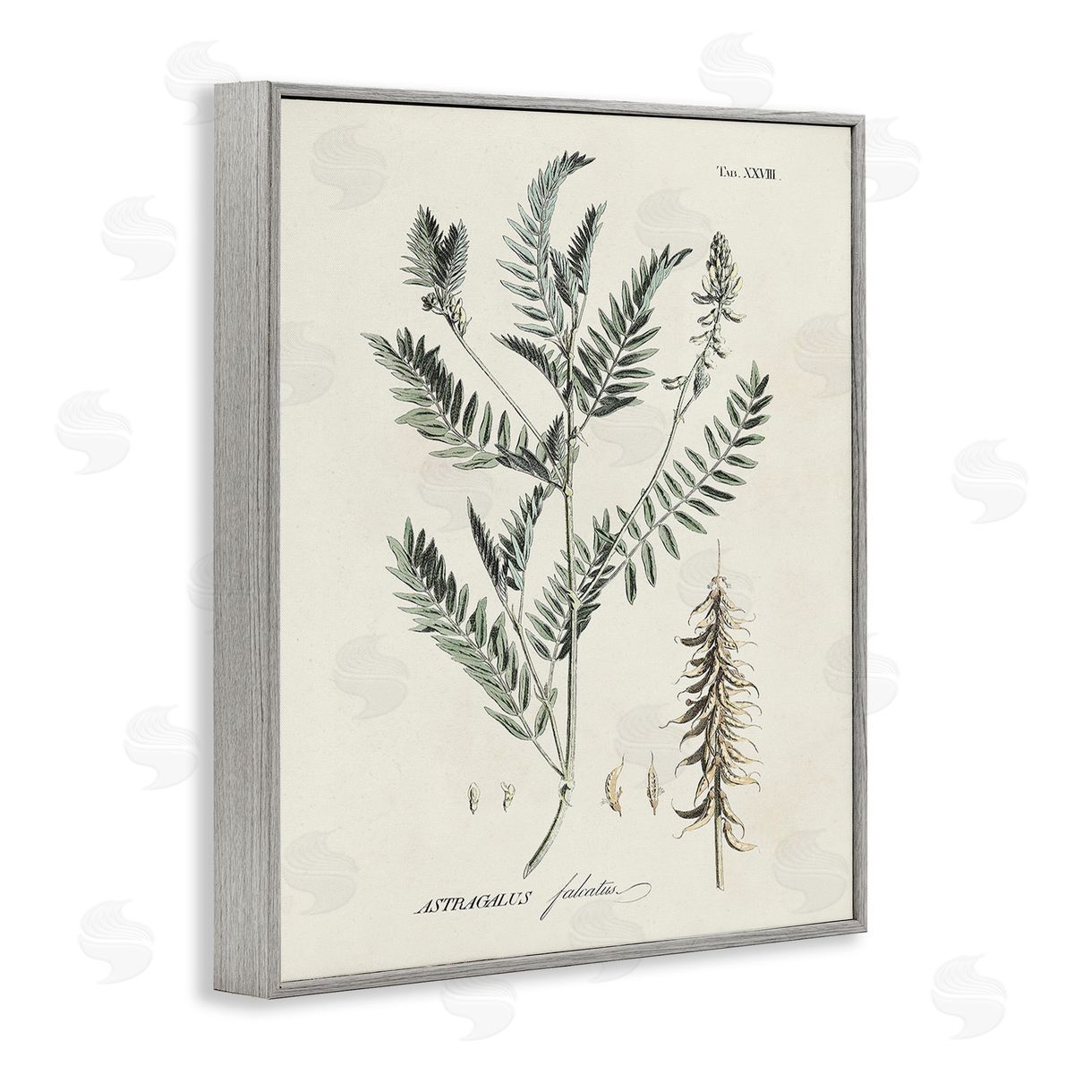 Martini Woodland Leaf Study Gray Framed Giclee Wall Art Print
