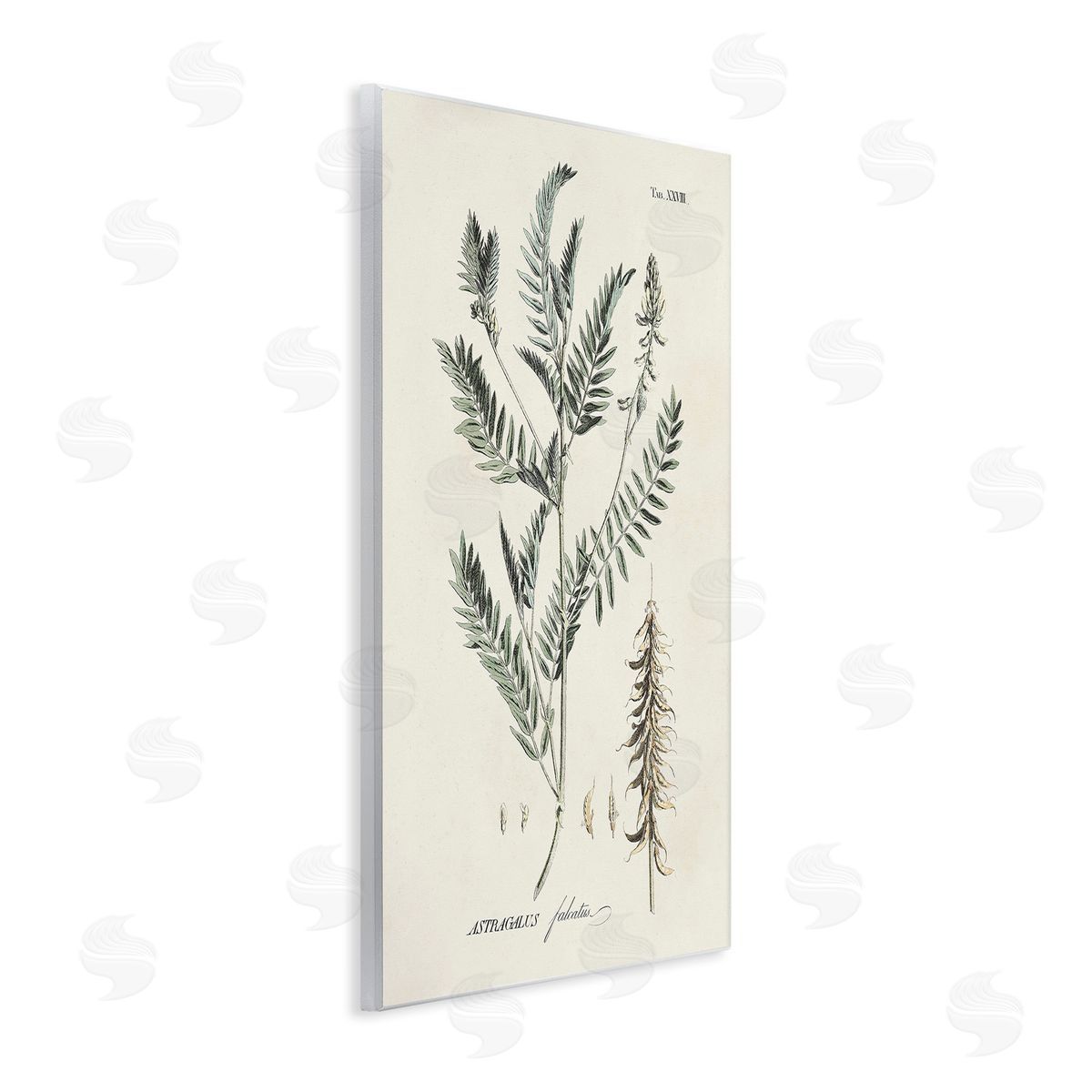 Martini Woodland Leaf Study Wooden Wall Plaque Art Print