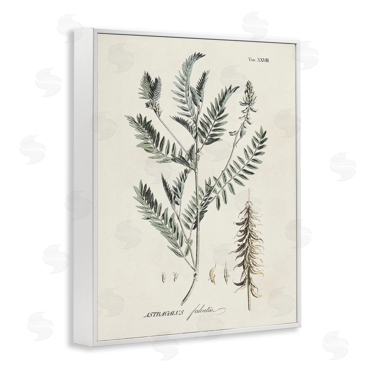 Martini Woodland Leaf Study White Framed Giclee Wall Art Print