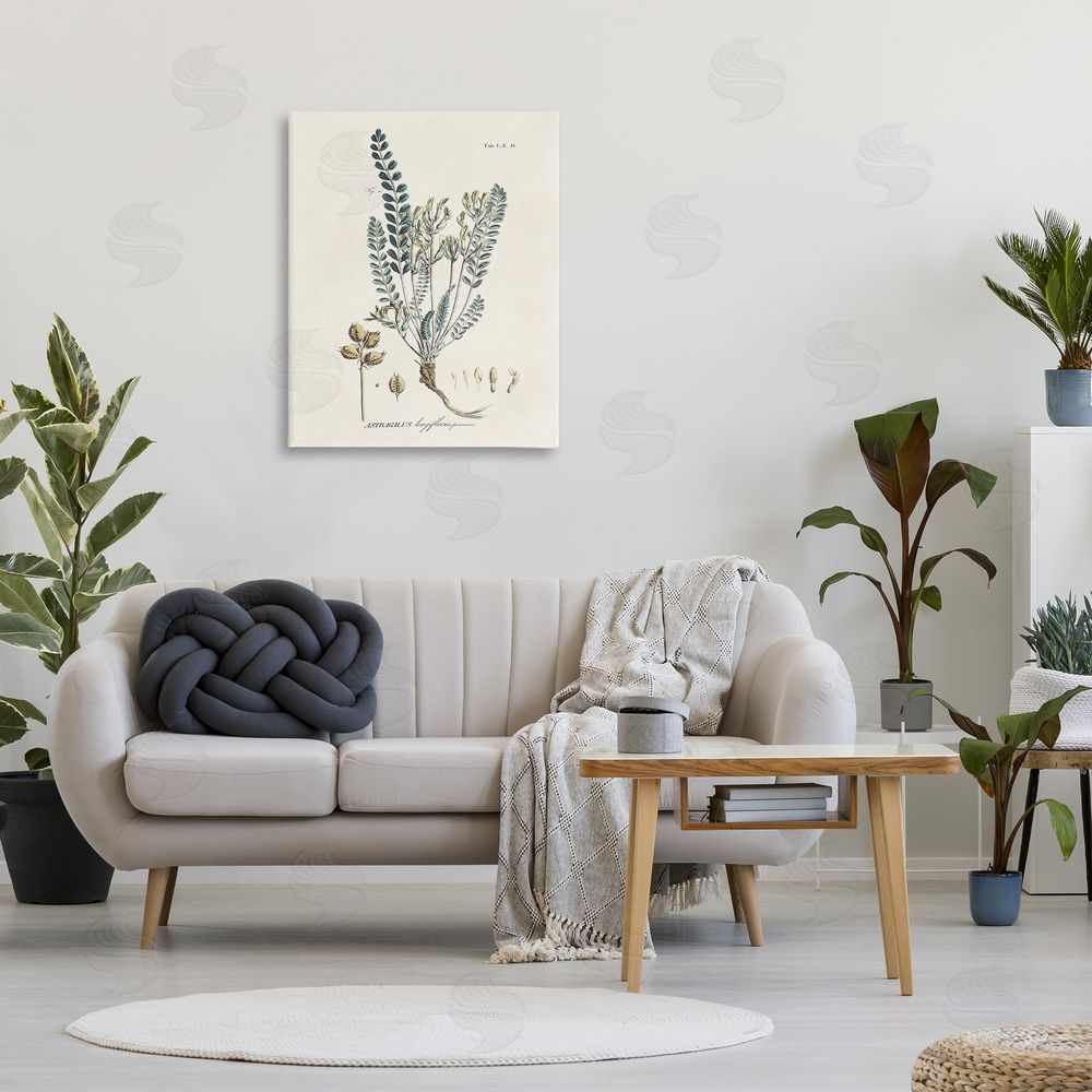 Martini Nature Leaves & Seeds Canvas Wall Art Print in Room