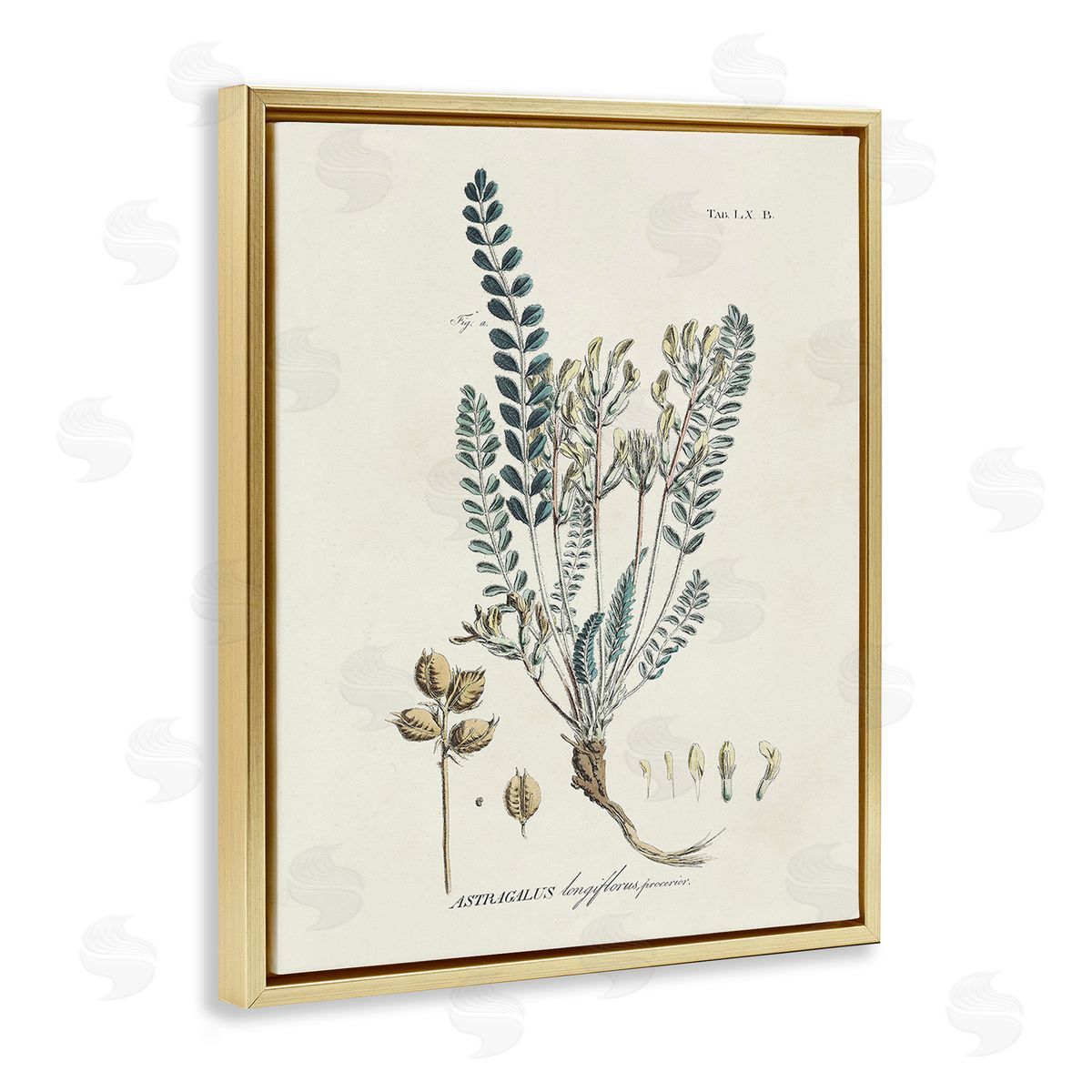 Martini Nature Leaves & Seeds Gold Floating Frame Canvas Wall Art Print