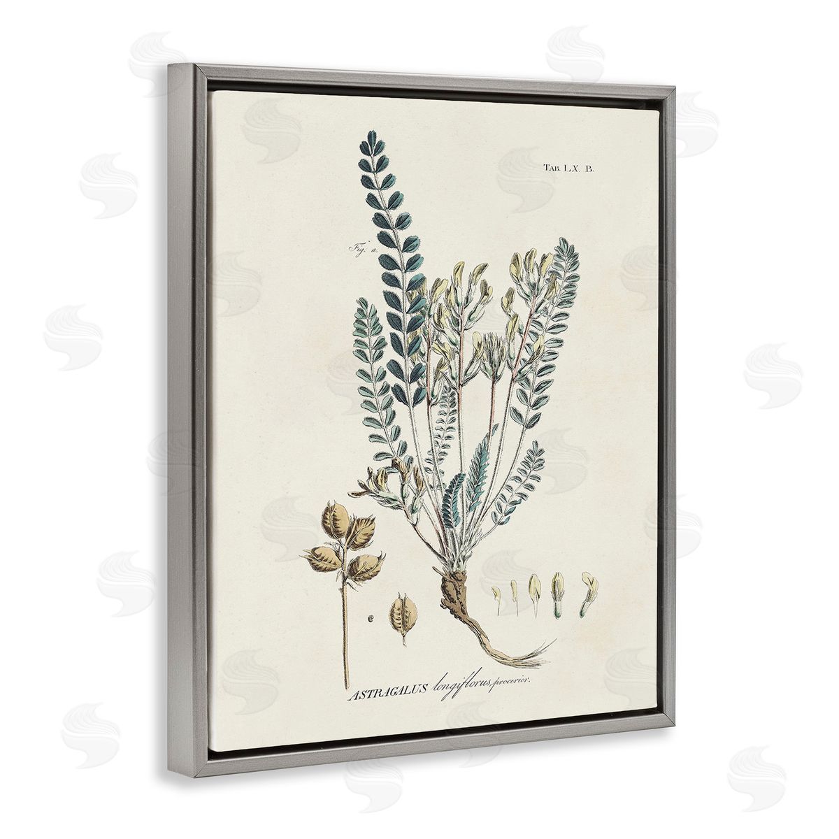Martini Nature Leaves & Seeds Gray Floating Frame Canvas Wall Art Print