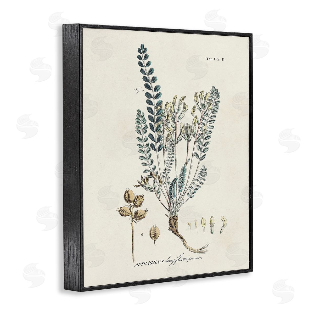 Martini Nature Leaves & Seeds Black Framed Giclee Wall Art Print