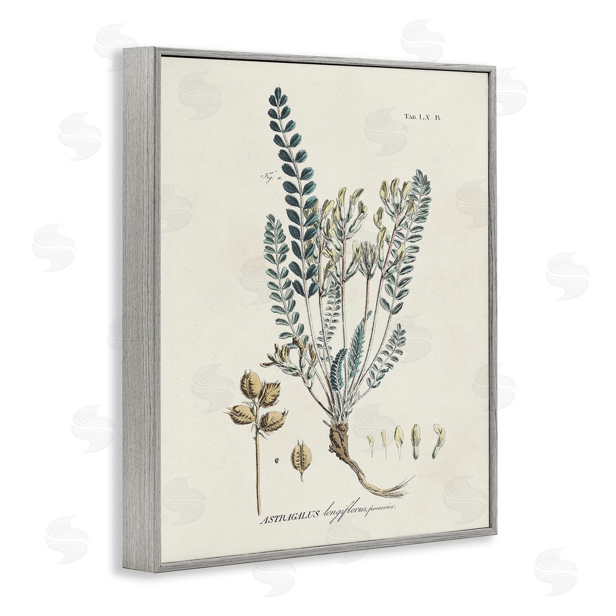 Martini Nature Leaves & Seeds Gray Framed Giclee Wall Art Print