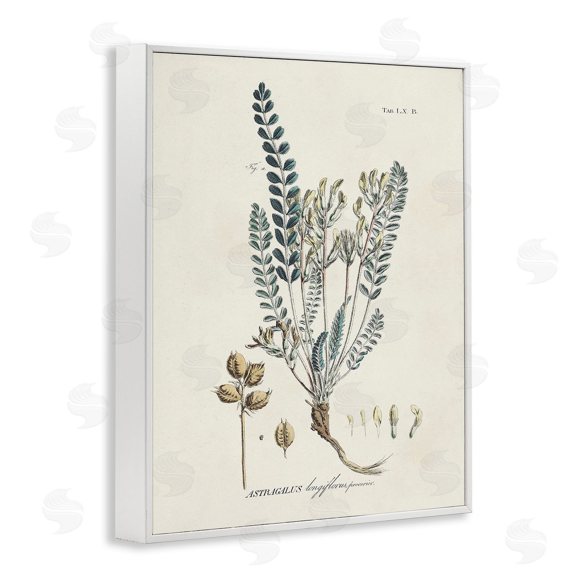 Martini Nature Leaves & Seeds White Framed Giclee Wall Art Print