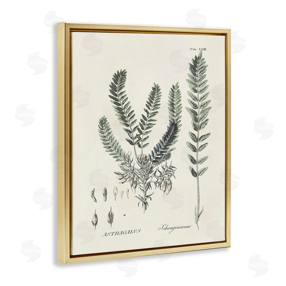 Martini Forest Leaves Diagram Gold Floating Frame Canvas Wall Art Print