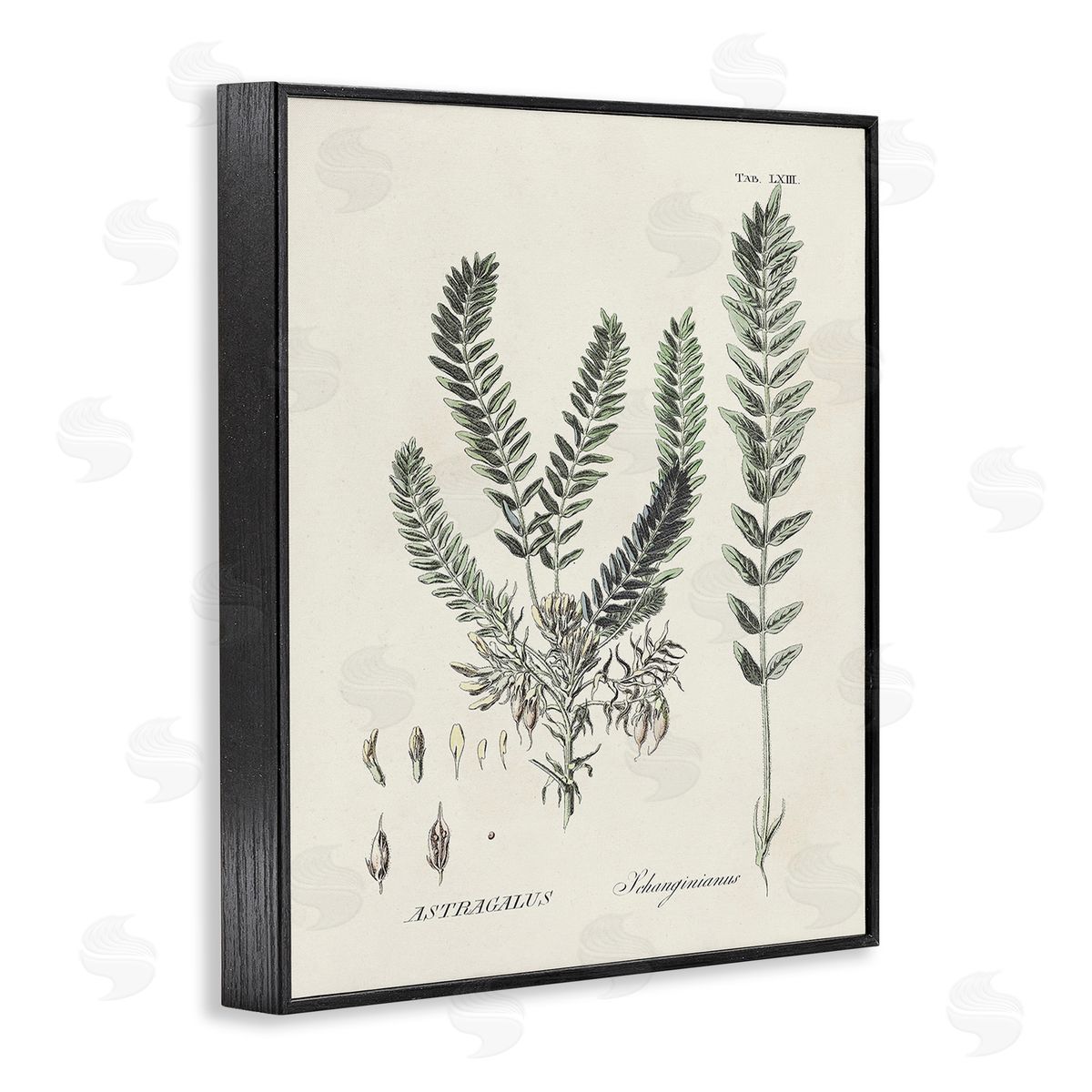 Martini Forest Leaves Diagram Black Framed Giclee Wall Art Print