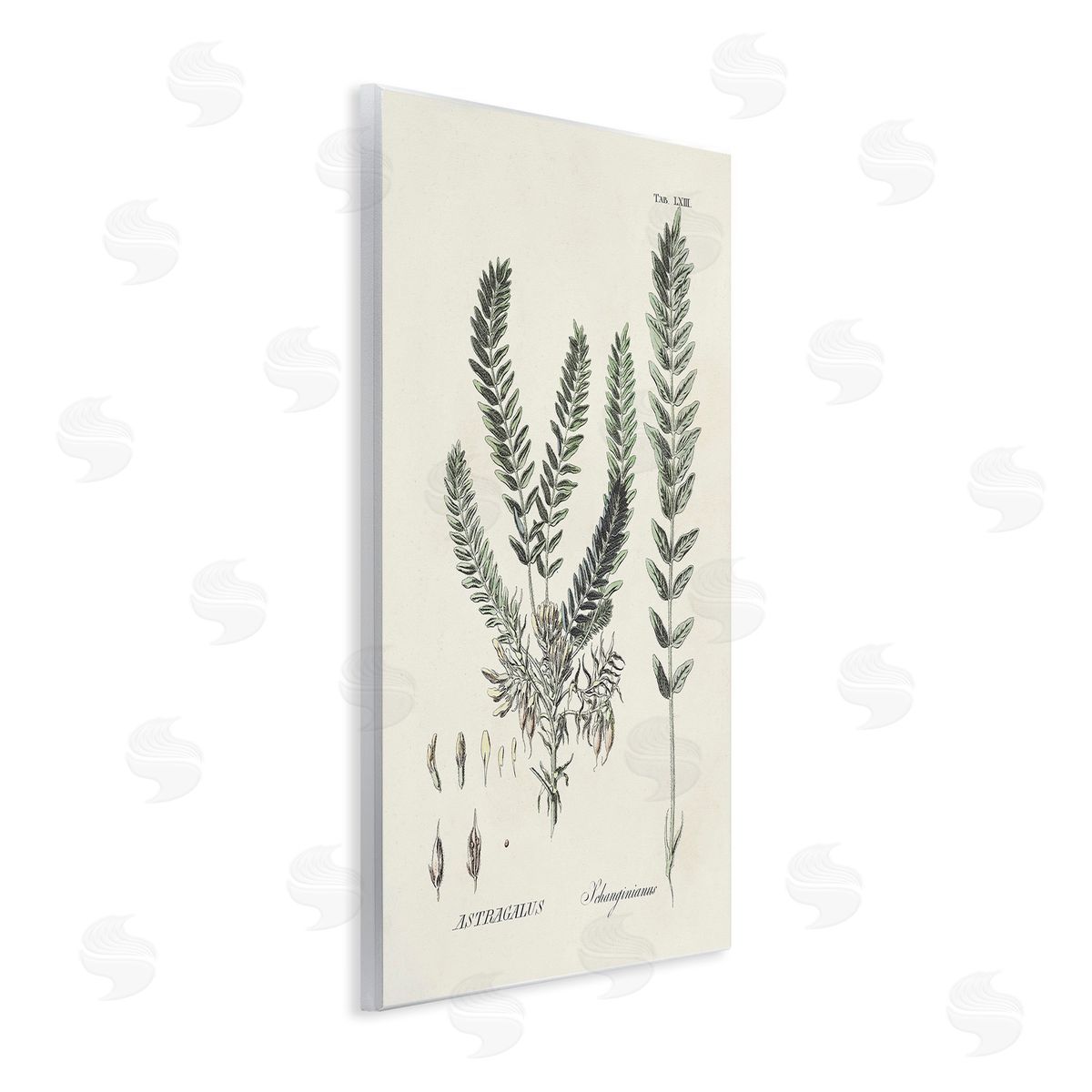 Martini Forest Leaves Diagram Wooden Wall Plaque Art Print