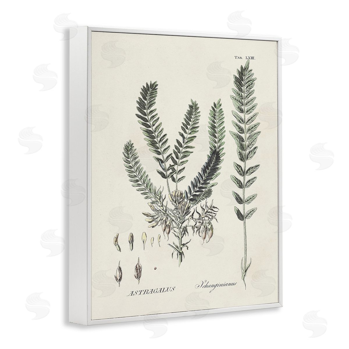 Martini Forest Leaves Diagram White Framed Giclee Wall Art Print