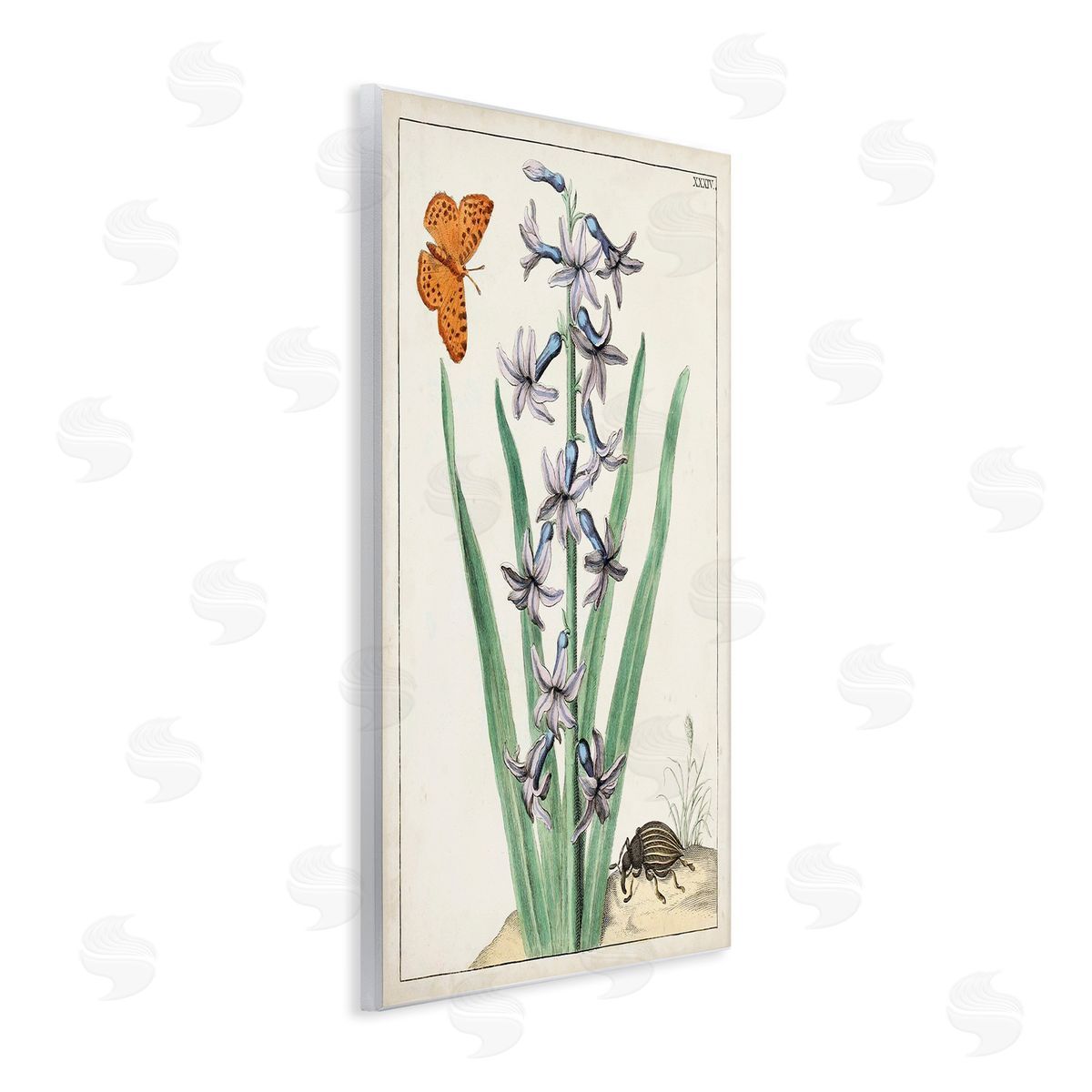 World Art Group Vintage Plant & Beetle Wooden Wall Plaque Art Print
