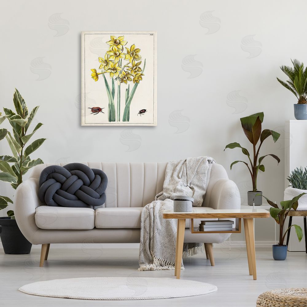 World Art Group Beetles with Daffodils Canvas Wall Art Print in Room