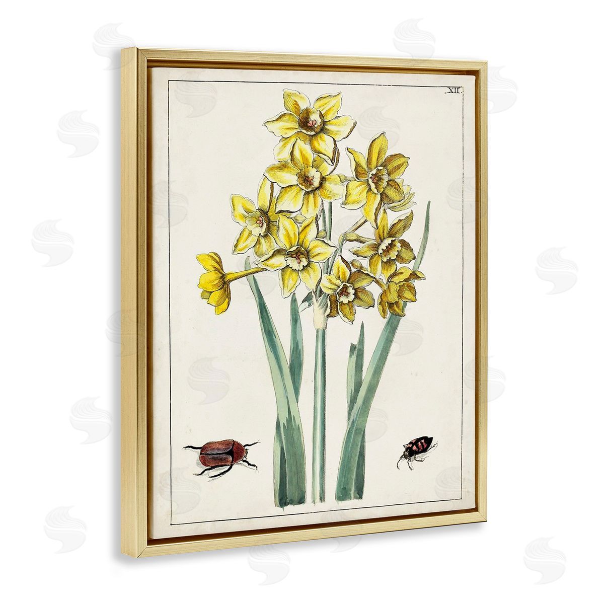 World Art Group Beetles with Daffodils Gold Floating Frame Canvas Wall Art Print