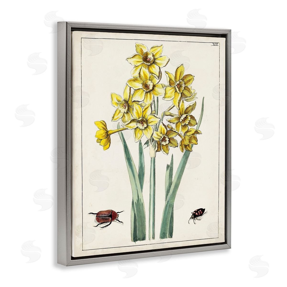 World Art Group Beetles with Daffodils Gray Floating Frame Canvas Wall Art Print