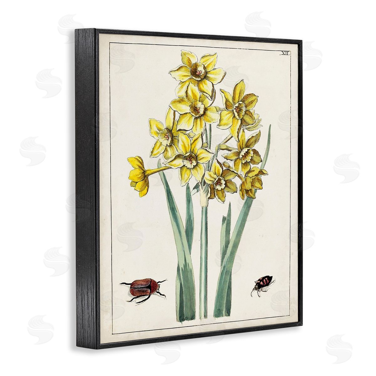 World Art Group Beetles with Daffodils Black Framed Giclee Wall Art Print