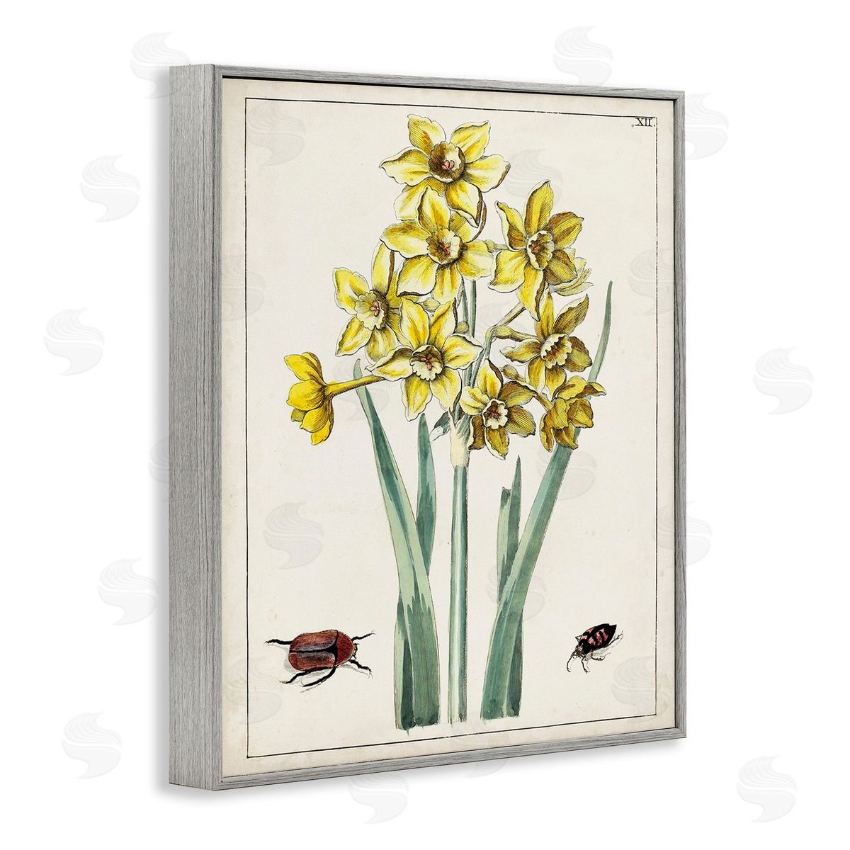 World Art Group Beetles with Daffodils Gray Framed Giclee Wall Art Print
