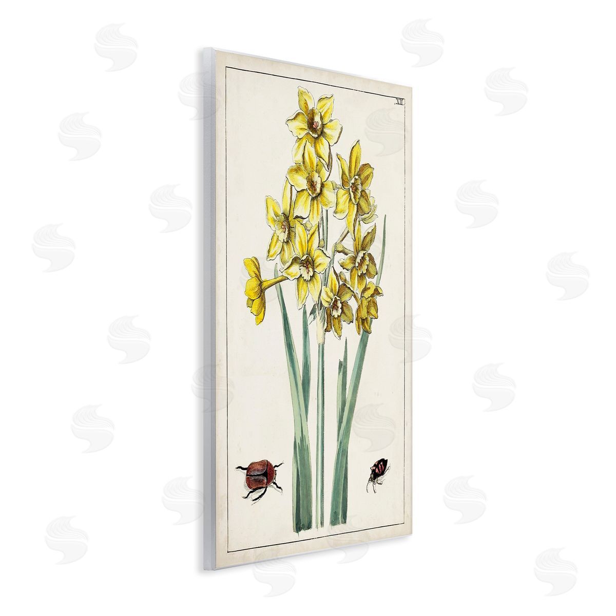 World Art Group Beetles with Daffodils Wooden Wall Plaque Art Print