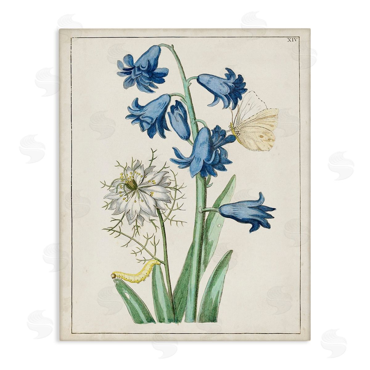 World Art Group Nature Bulbs with Moth Canvas Wall Art Print