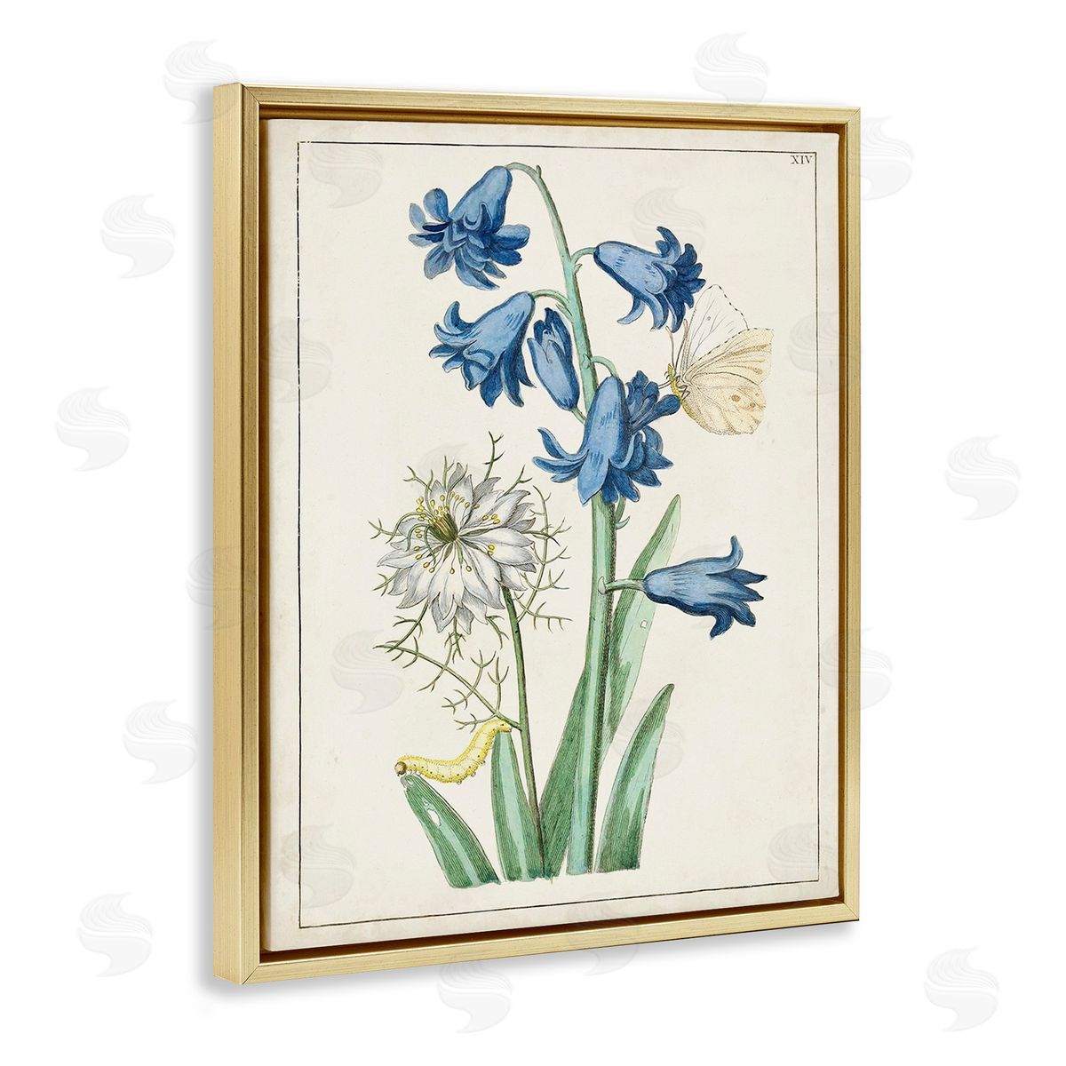 World Art Group Nature Bulbs with Moth Gold Floating Frame Canvas Wall Art Print