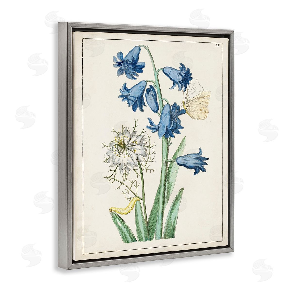 World Art Group Nature Bulbs with Moth Gray Floating Frame Canvas Wall Art Print