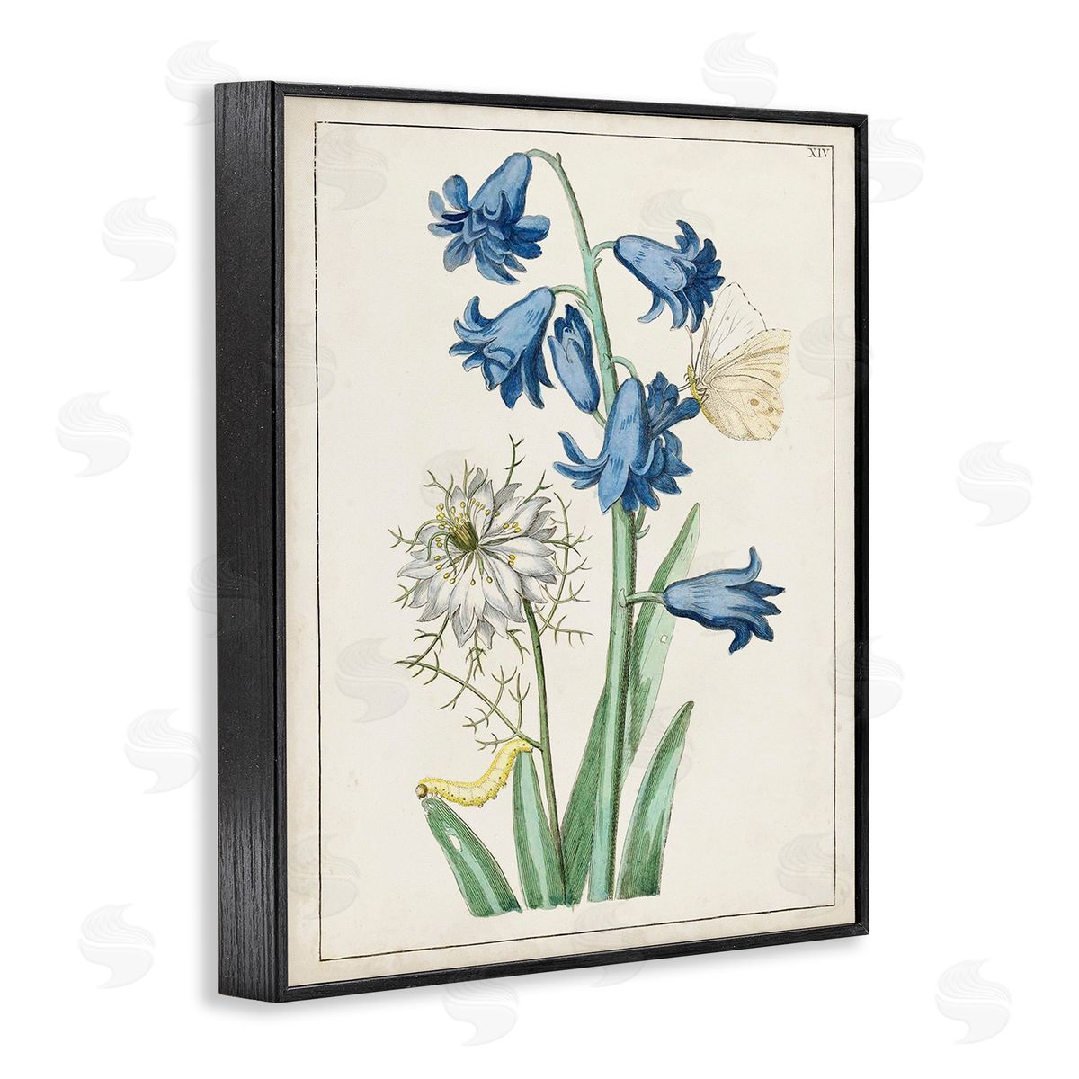World Art Group Nature Bulbs with Moth Black Framed Giclee Wall Art Print