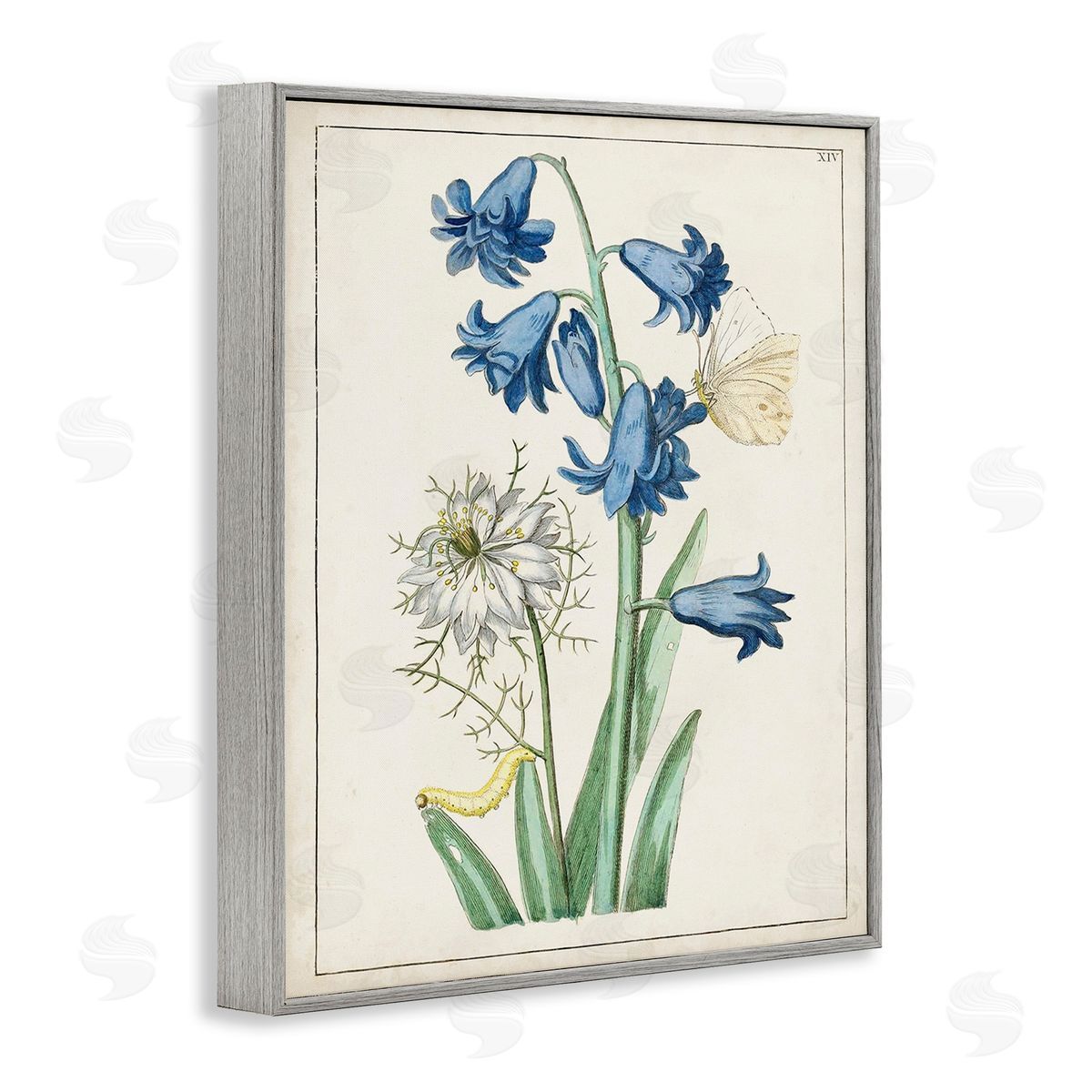 World Art Group Nature Bulbs with Moth Gray Framed Giclee Wall Art Print